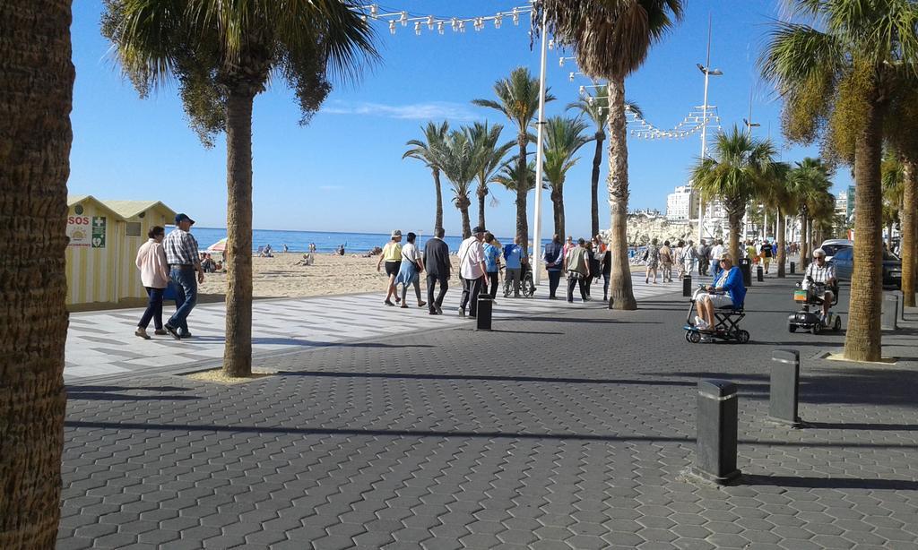 Apartamento Rex Benidorm Ngoại thất bức ảnh